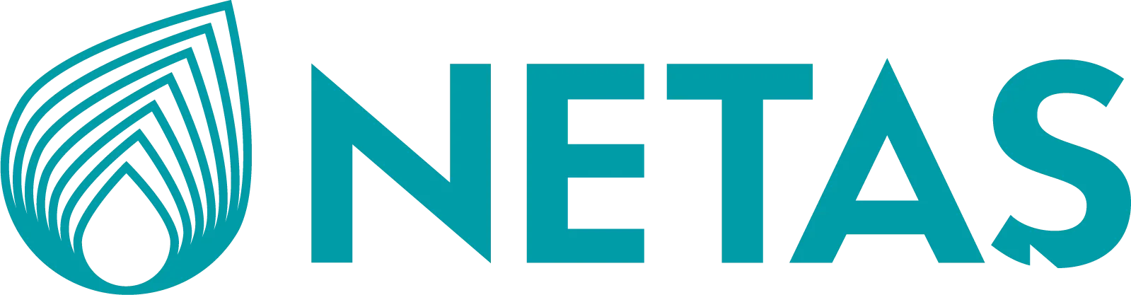 Netaş Telekomünikasyon A.Ş.